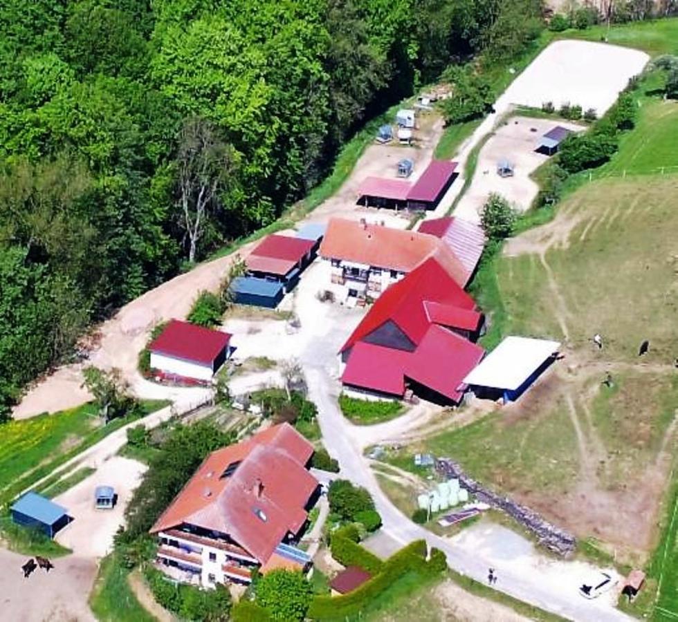 Willa Pferdehof Und Wanderreitstation Doersam Mörlenbach Zewnętrze zdjęcie